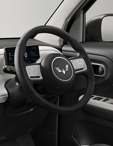 Steering Control Wheel